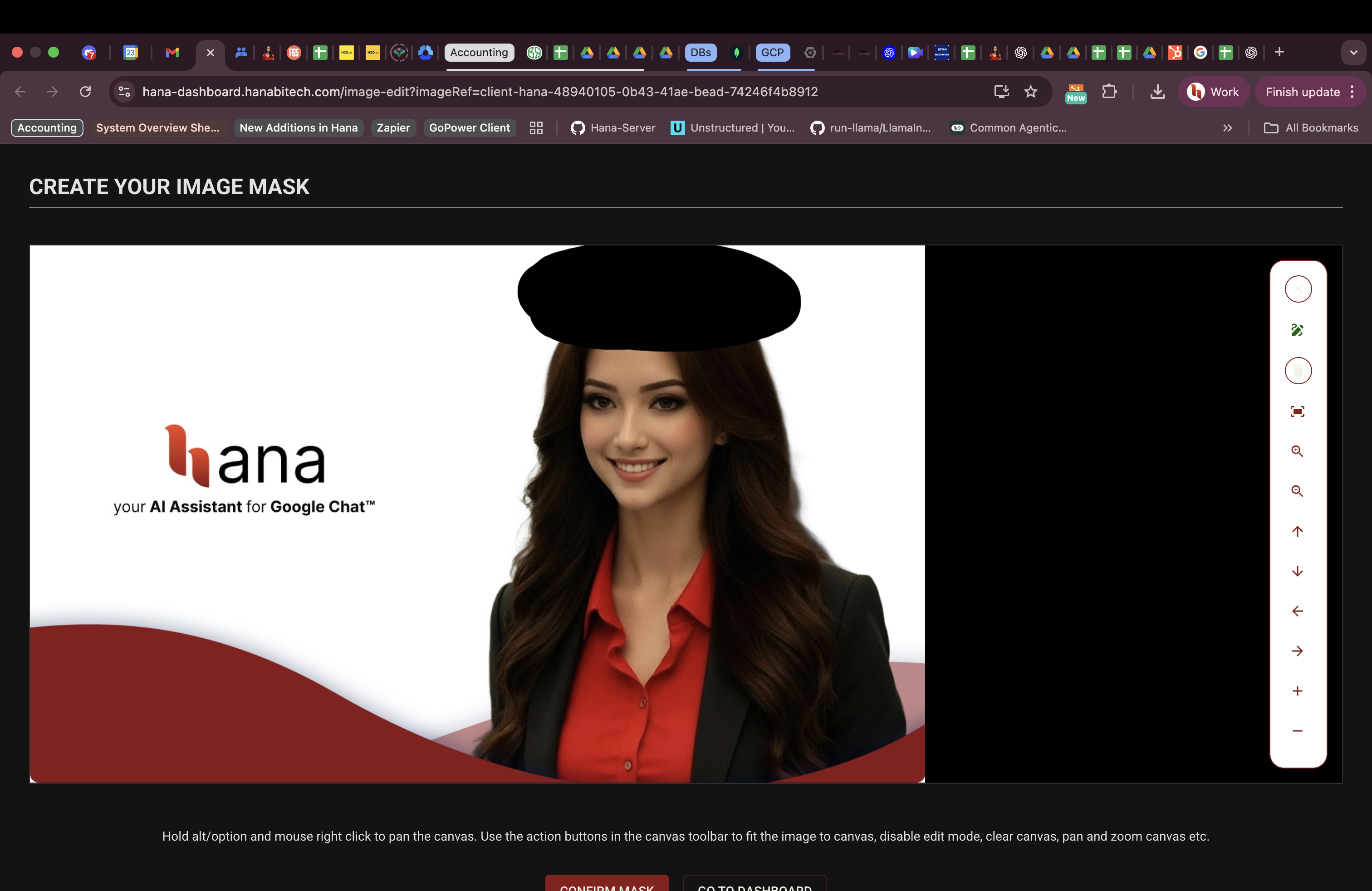 Hana dashboard: image mask editing page (2)