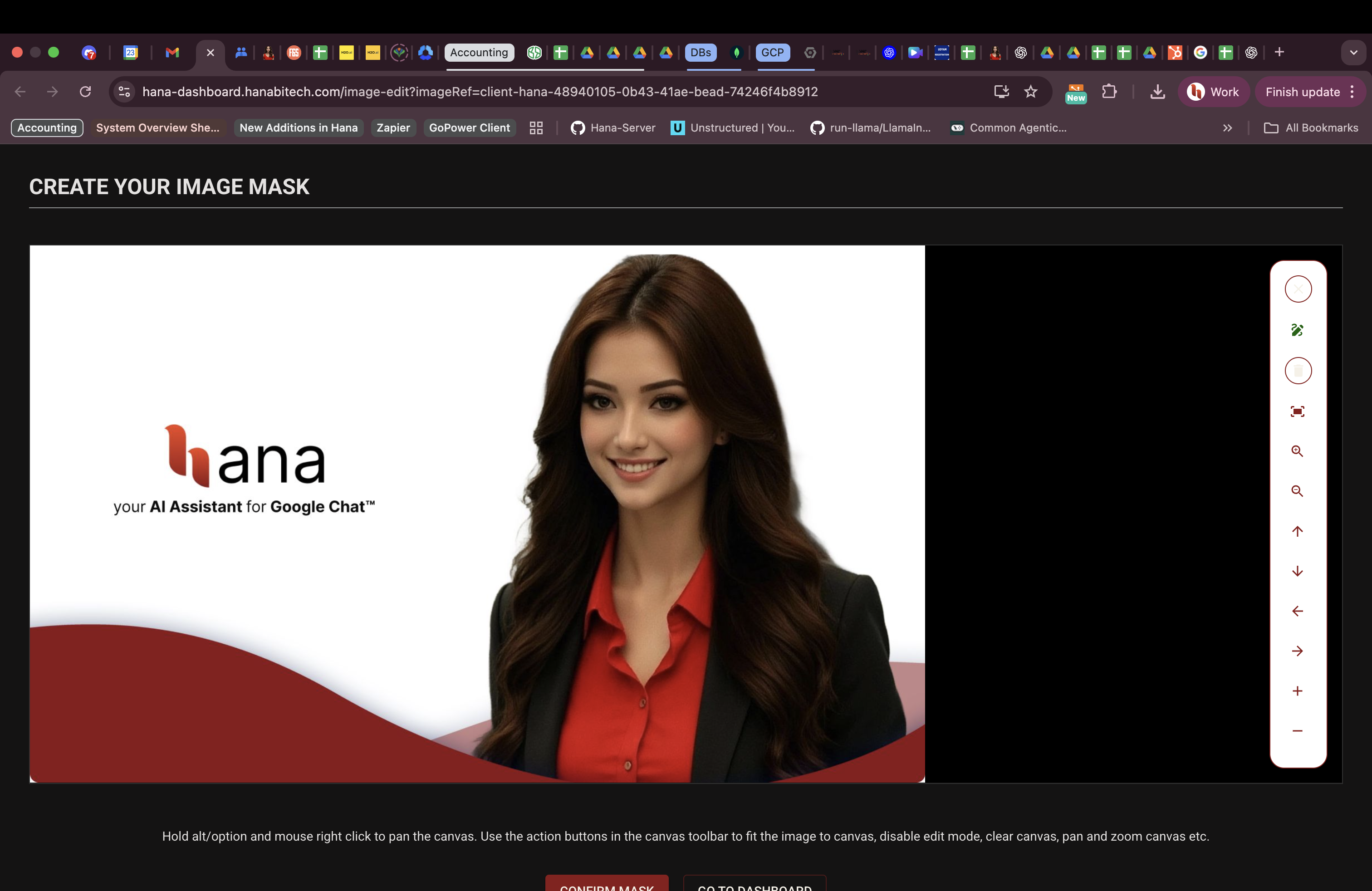 Hana dashboard: image mask editing page